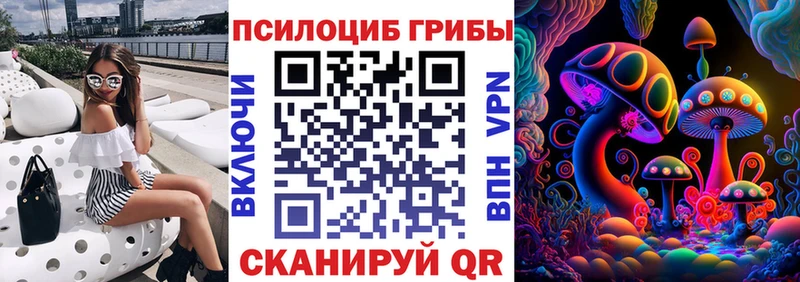 Псилоцибиновые грибы GOLDEN TEACHER  Андреаполь 